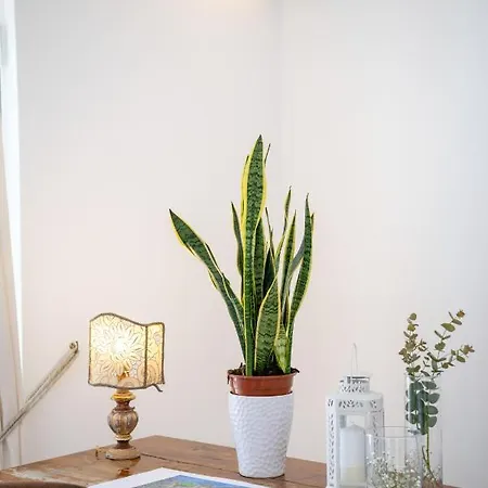 Yourhome - Aldo Marino