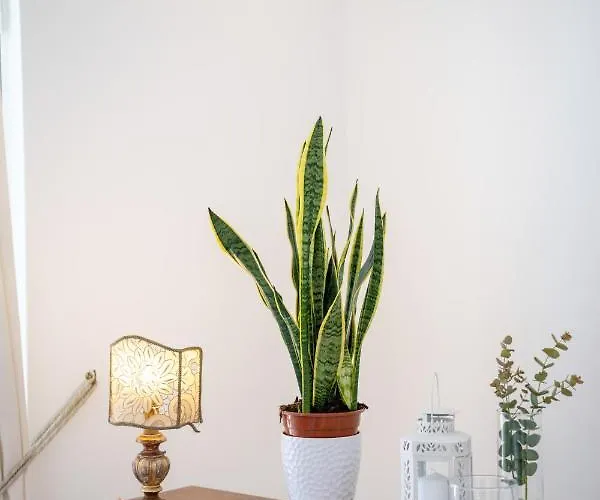 Yourhome - Aldo Marino